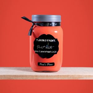 Tjhoko Paint paul's place