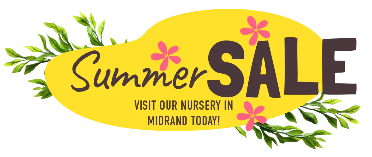 summer sale on plants at indigo nursery