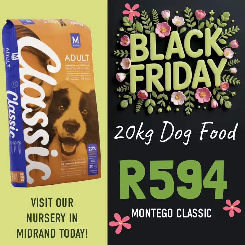black friday special on montego classic dog food