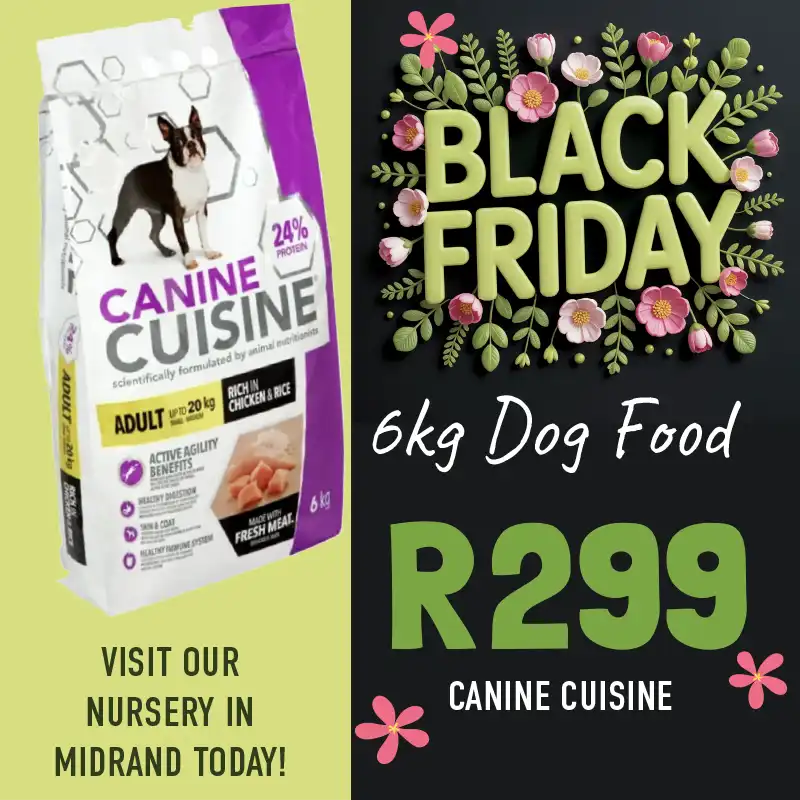 black friday special on dog food at indigo nursery