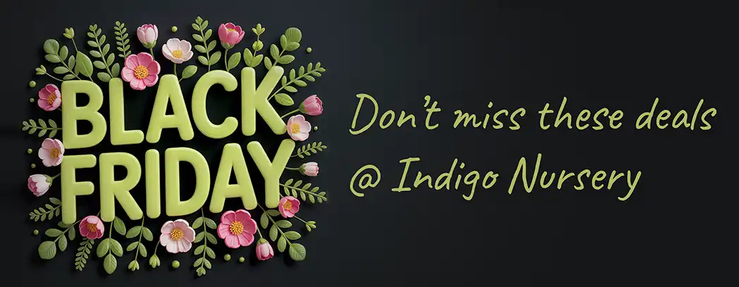 black friday banner mobile black friday specials