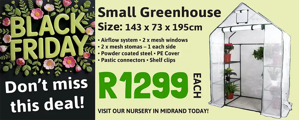 greenhouse - black friday special