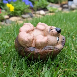 Baby Hedghog Lying Down
