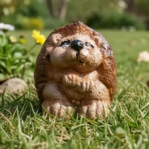 Baby Hedghog Sitting Up