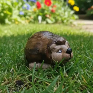 Baby Hedghog Standing
