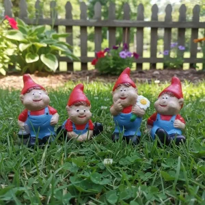 Gnome Boy