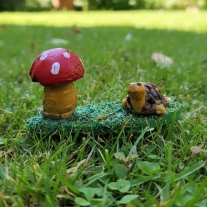 Mushroom with Tortoise