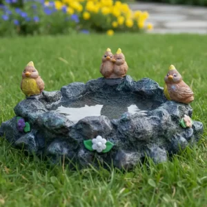 Rock Pond with Birds