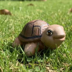 Tortoise Baby