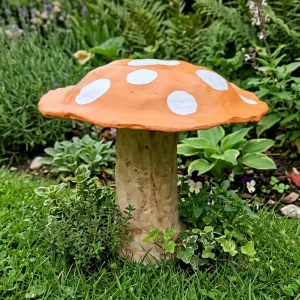 Mushroom medium
