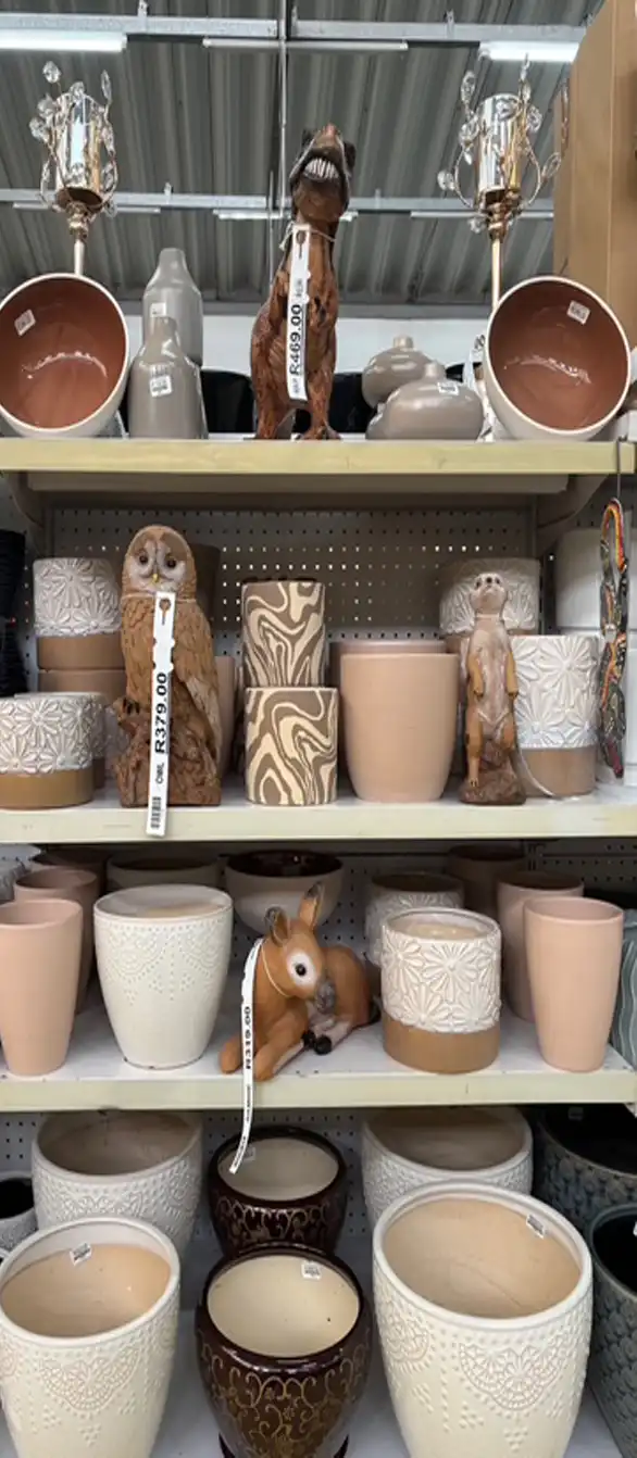 Products on display at indigo nursery