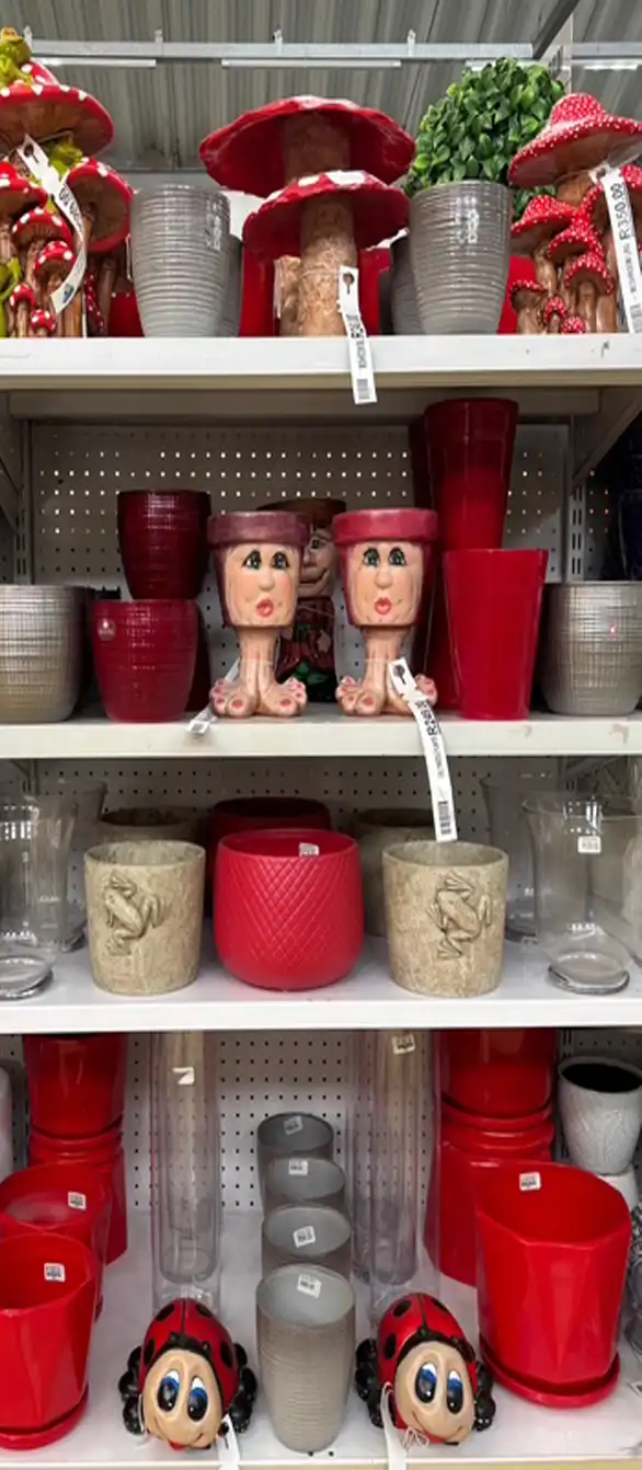 Products on display at indigo nursery