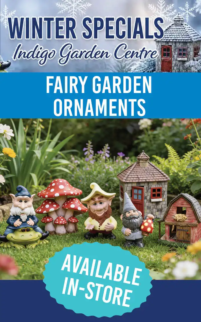 fairy garden ornament specials