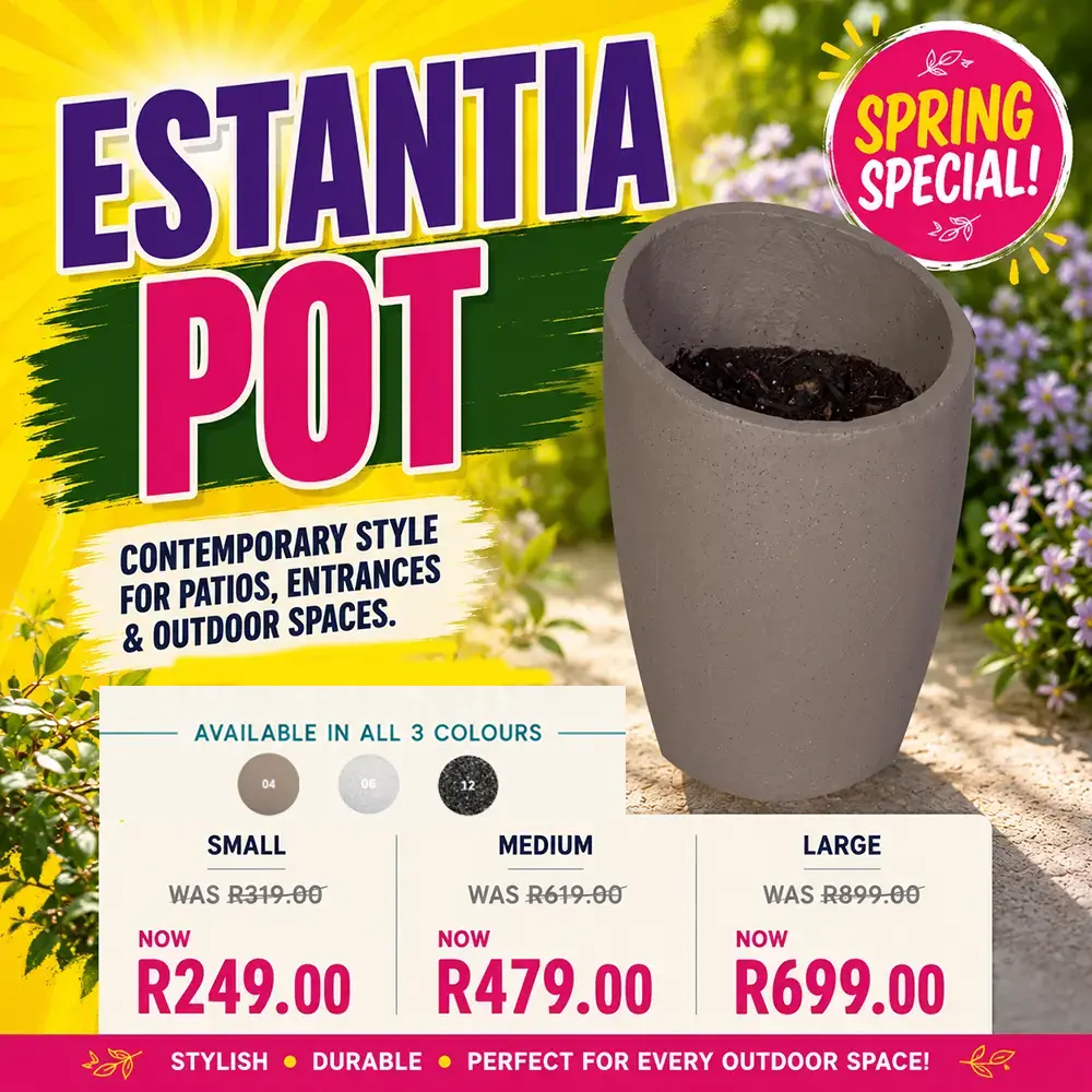 Estantia pots