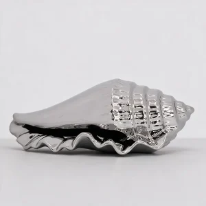 Silver Cone Shell