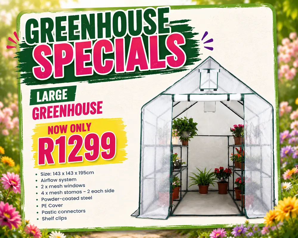 large greenhouse special large greenhouse special