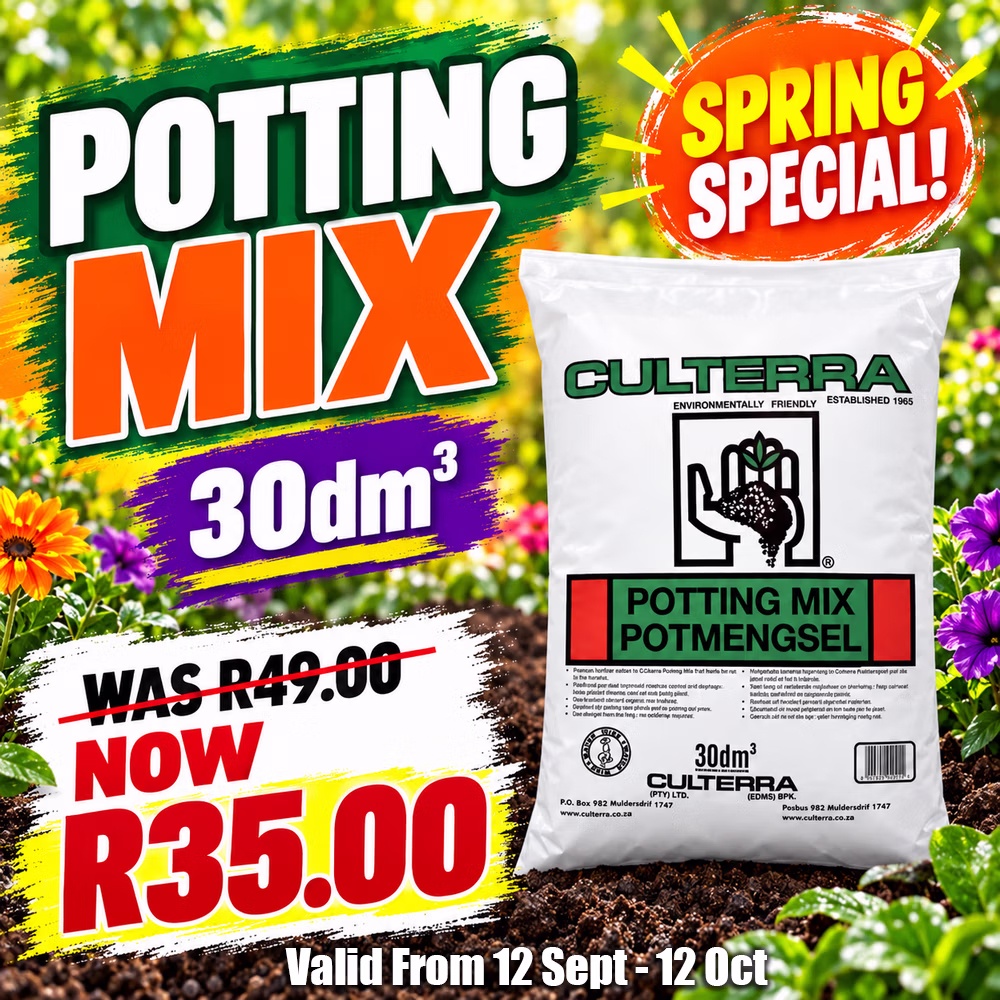 Potting-Mix-Spring-Special-1000x1000 potting mix special
